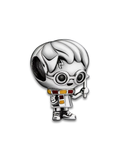 Charm de Plata 925 | Harry